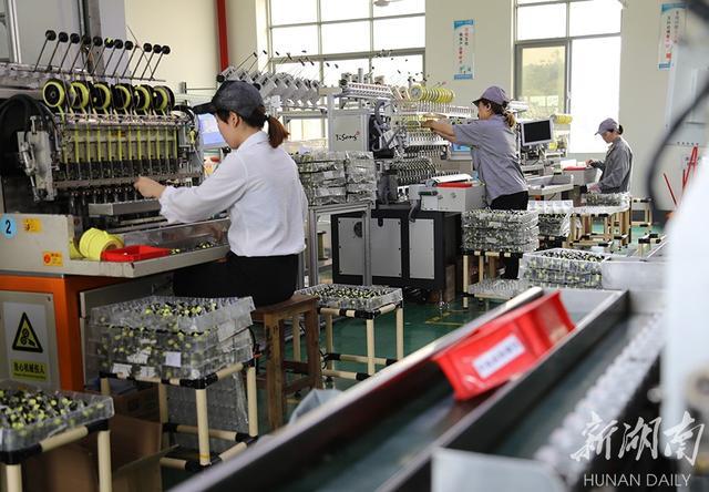 6月8日,湘西高新区湖南汇锋电子科技生产车间内,工人在加工